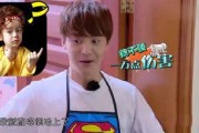 娱乐吃瓜酱灵魂,揭秘娱乐圈背后的灵魂故事