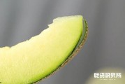 2022 娱乐吃瓜,吃瓜群众狂欢手册